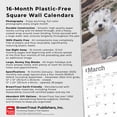 thumbnail image 6 of West Highland White Terriers 2025 12 X 24 Inch Monthly Square Wall Calendar Plastic-Free (Wall), 6 of 9