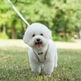thumbnail image 4 of AIITLE Step-in Plush Dog Harness–Soft Plush, AIITLE Step in Vest Harness for Small and Medium Dogs Pet Supplies - Brown Corduroy, XS, 4 of 6