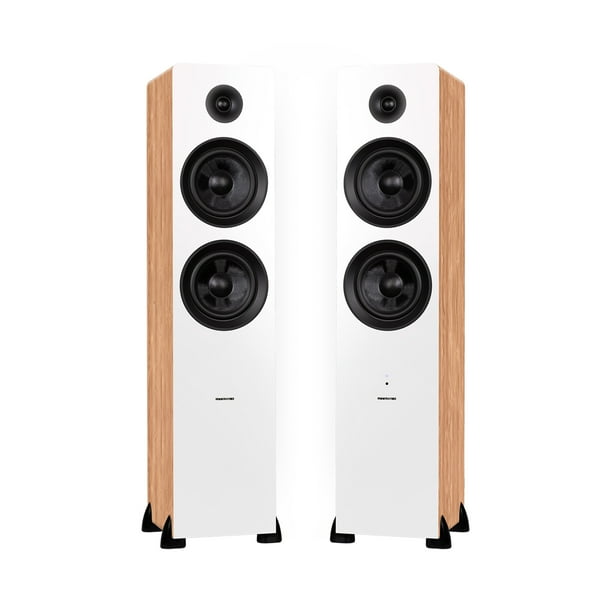Floor speakers with hotsell built in subwoofer