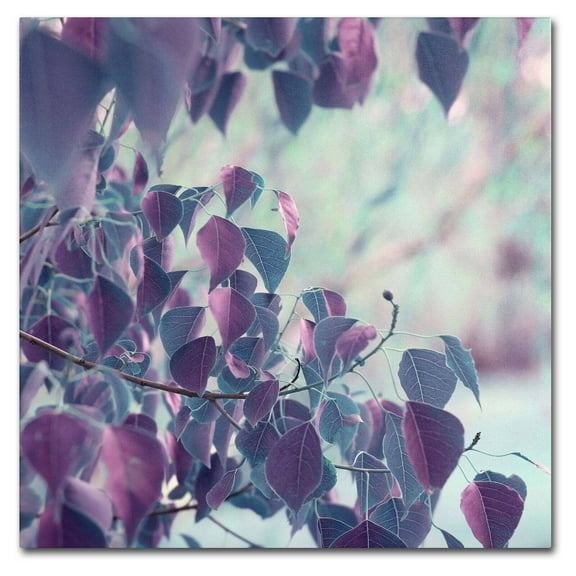 Trademark Fine Art "Summer Thoughts" Canvas Art by Beata Czyzowska Young