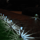 thumbnail image 5 of Luces solares cálidas para césped, luces de jardín para exteriores, luces solares para exteriores para el hogar, etc., 5 of 7