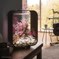 thumbnail image 3 of biOrb LIFE 15 Aquarium with Standard Light - 4 Gallon, Black, 3 of 9