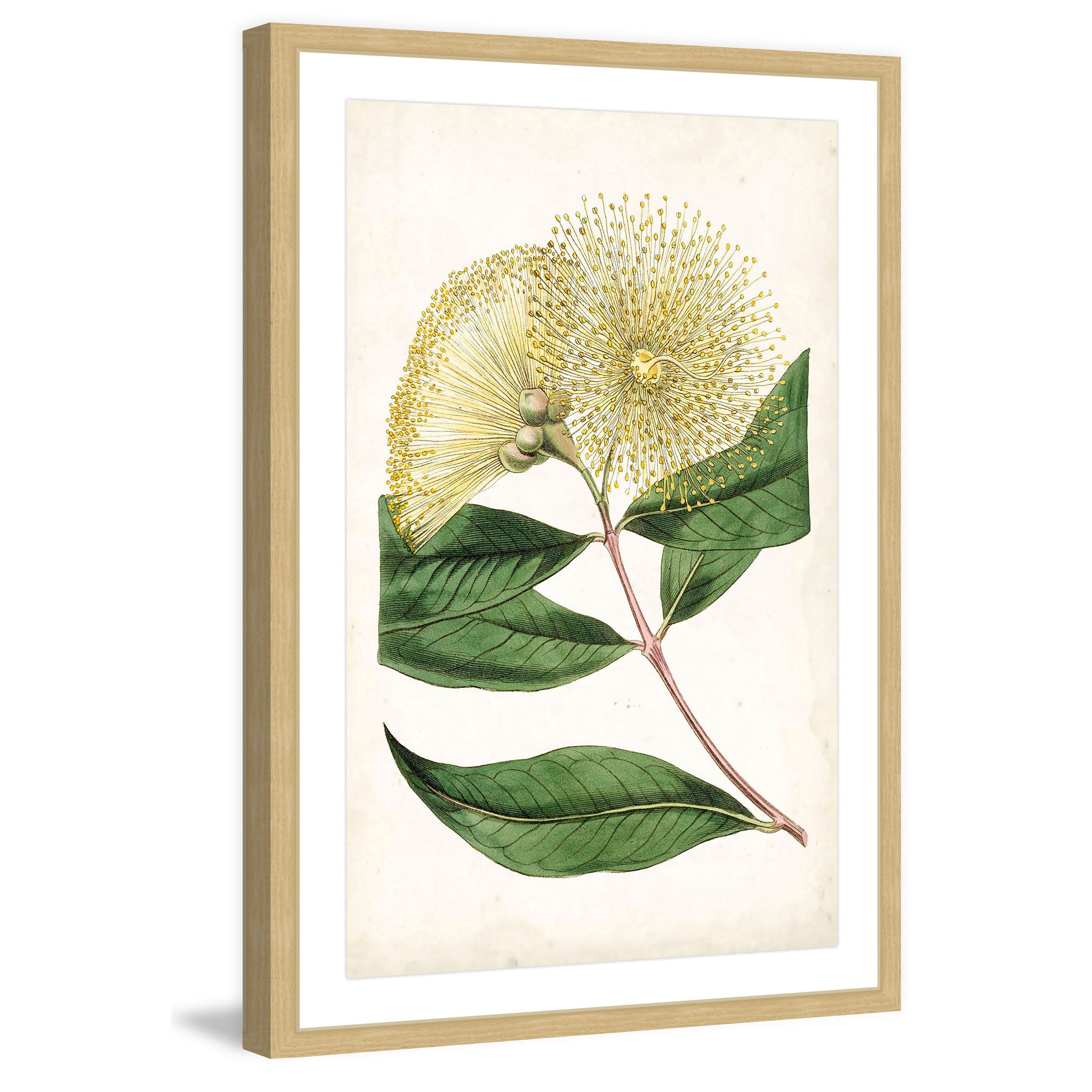 Marmont Hill "Floral Lace I" Framed Painting Print