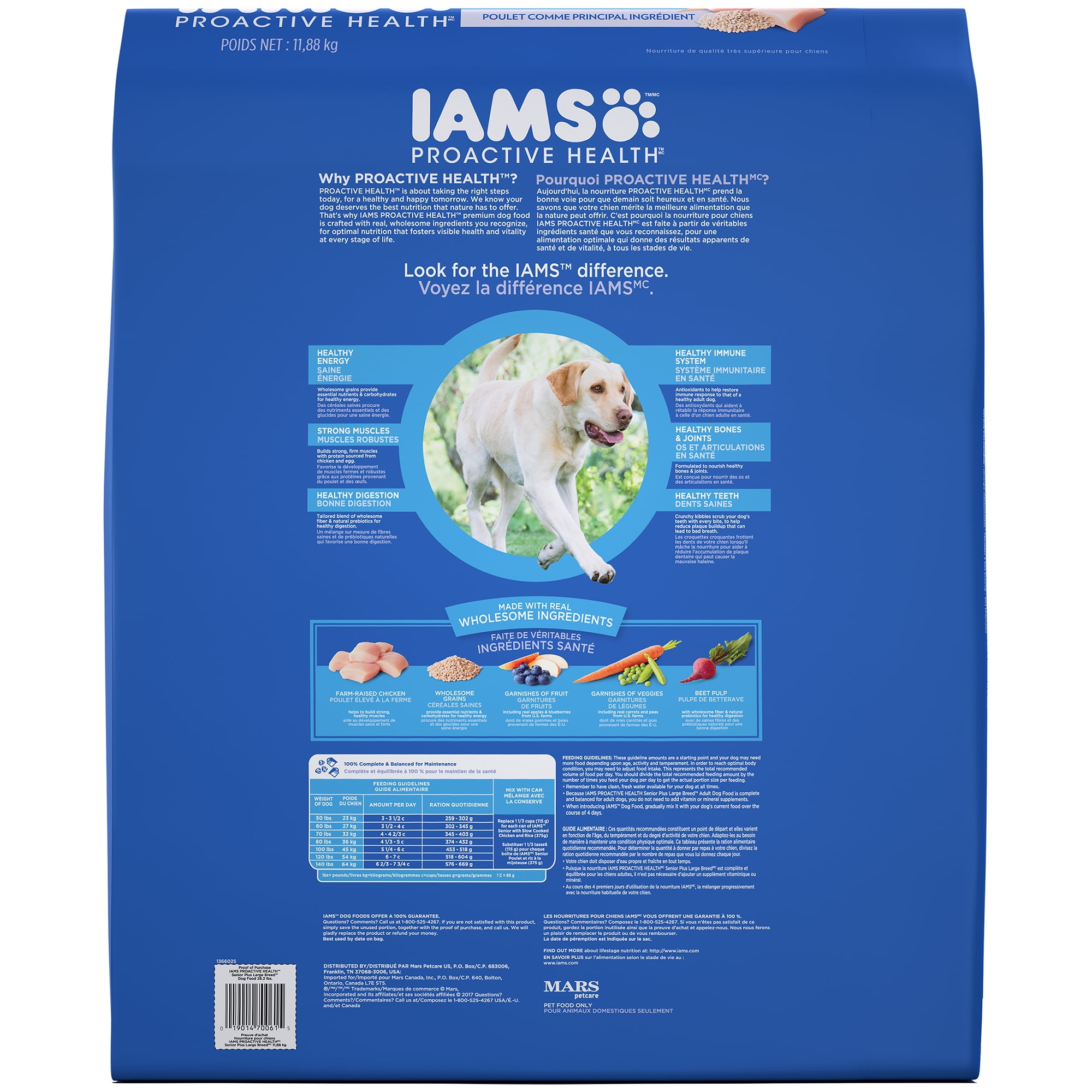 iams senior plus dog food