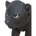 thumbnail image 3 of Hi- Line Gift 87696-B Black Panther Cub Statue, 3 of 7