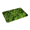 thumbnail image 2 of Fotbe Extra Durable Door Mat - Dirt Trapping Outdoor Welcome Mats - Non-Slip Outdoor Door Mats - Low Profile Front Door Mat - Indoor (16" x 24", Tiny Green Fern Leaves ), 2 of 8