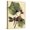Canvas, variant on Art.com Petite Dragonflies I Art Print by Vision Studio, 12" x 16"