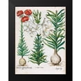 thumbnail image 2 of Besler, Basilius 15x18 Black Modern Framed Museum Art Print Titled - Lilies, 2 of 5