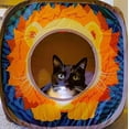 thumbnail image 4 of Kitty City Safari Play Cubee, Cat Cube, Play Kennel, Cat Bed, Jungle Cat House, 4 of 7