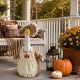 thumbnail image 5 of Aurorax Fall Goose Outfits for Porch Goose,Thanksgiving Porch Goose Outfit for 19 inch 23 inch, 5 of 9