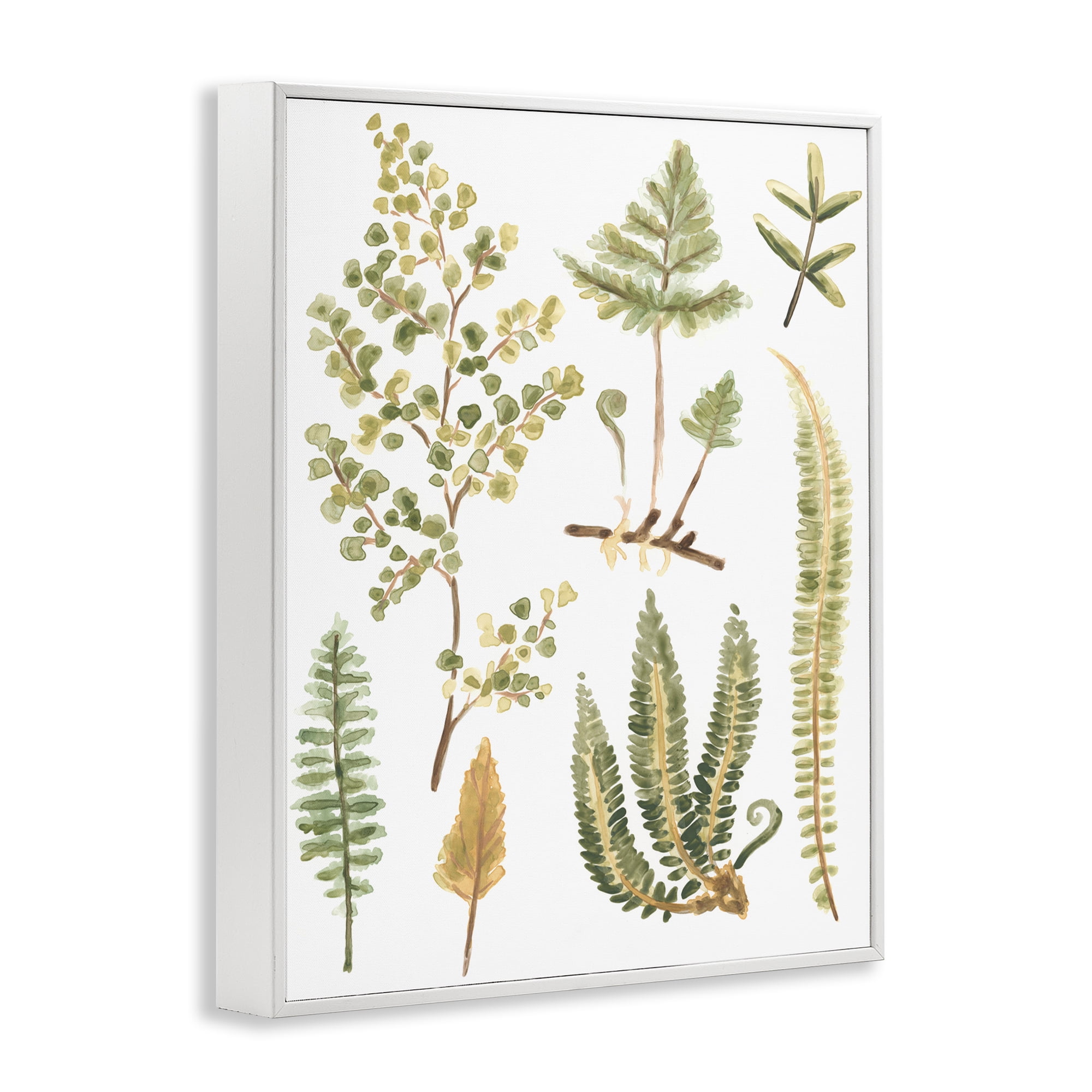 Stupell Industries Wild Forest Ferns Botanical & Floral Painting White Framed Art Print Wall Art, 16 x 20
