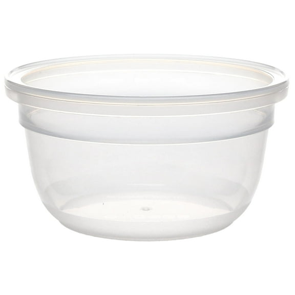 Snapware 7202R-PFS 1.2-Cup Total Solutions Plastic Food Storage Container - Made in USA