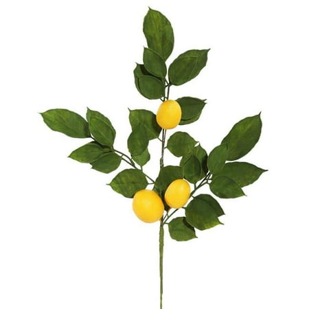 Lemon Leaves - Vickerman 587522 - 20