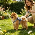thumbnail image 5 of Ainf Backpack Harness With Pockets – Cute Soft Backpack With Adjustable Leash And Snack For Small And Cats 2 10kg, 5 of 5
