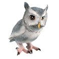 thumbnail image 1 of Realistic Owl Sculpture, Collection Playset, Small Owlfigures Toy for Home Decor Gray, 1 of 9