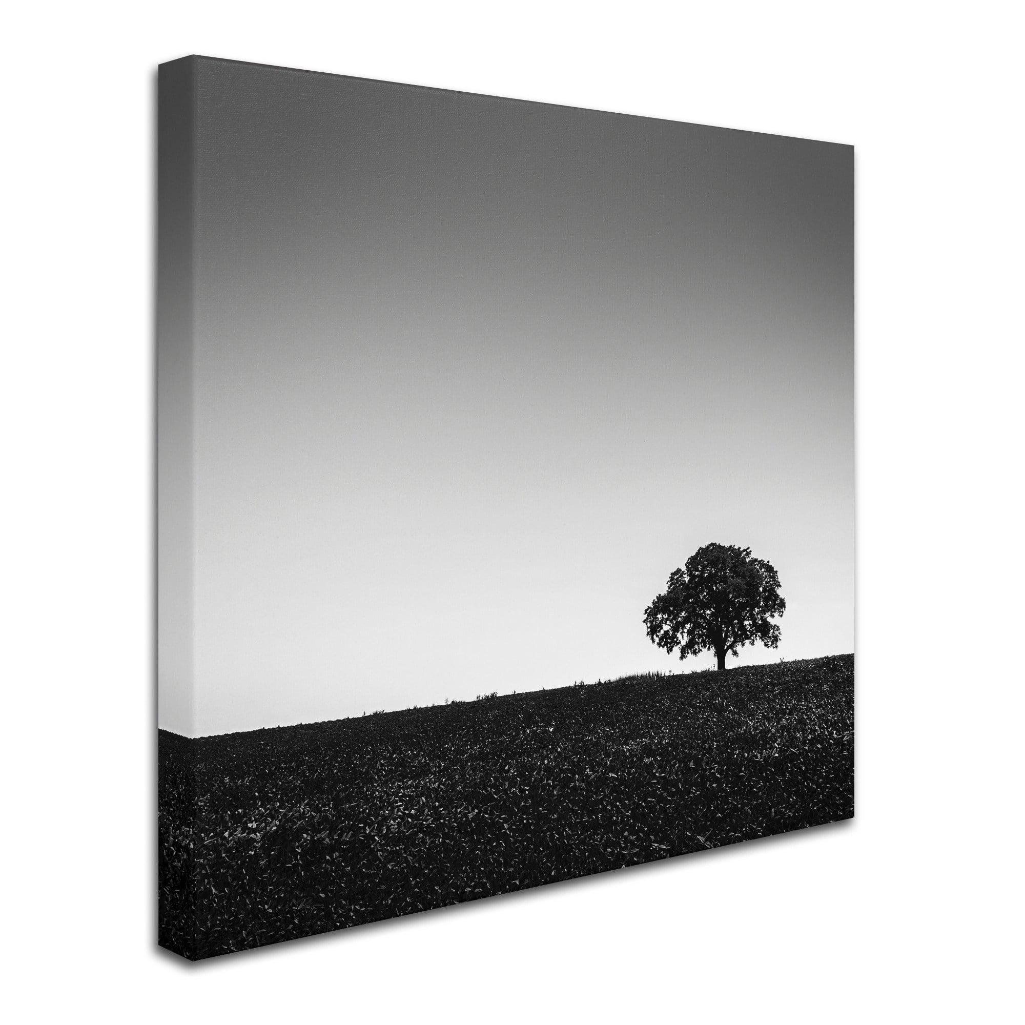 Trademark Fine Art "One Tree Hill" Canvas Art by Dave MacVicar