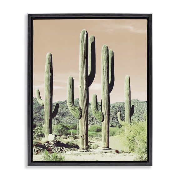 Stupell Industries Southwestern Towering Cactus Plants Arid Desert Vegetation Nature Black Floating Frame Canvas Art, 17 x 21, by Susan Bryant