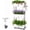 46.7", variant on 2-Tier 27.8"H Rolling Raised Garden Bed with Wheels, Self Watering Planter Box with Visible Water Level, Gray Rustproof Plastic & Strawberry Planter for Indoor Outdoor Vegetables , DIY Kit