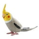 thumbnail image 5 of Figuras de pájaro cacatúa, adorno de pájaro para jardín, educación temprana, loro educativo gris, 5 of 9