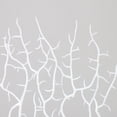 thumbnail image 4 of AF0001L Peacock tree coral branch double head (3# sea tree) white 45cm PP, 4 of 7