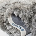 thumbnail image 2 of Safavieh Paris Darwin Plush Shag Area Rug, 2 of 7