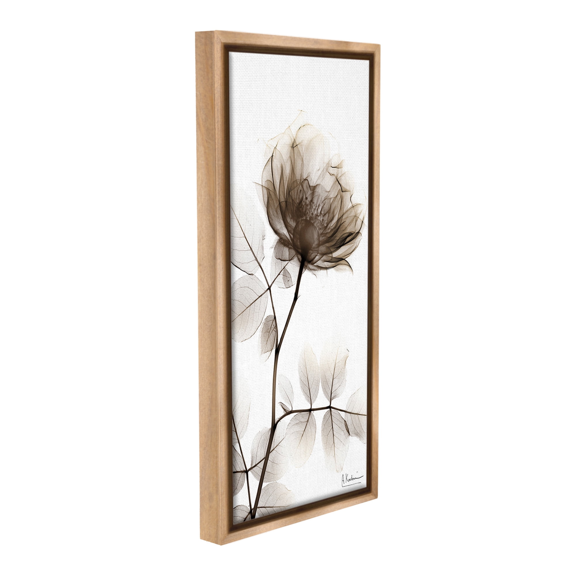 Stupell Industries Contemporary X-Ray Flower Botanical & Floral Photography Brown Floater Framed Canvas Art Print Wall Art, 11 x 25