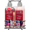 Calgon Berry Jubilee Hand Gift Set, 2 pc