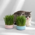 thumbnail image 6 of Matoen Nursery Pot Cat Grass Planter, Self Watering Cat Grass Planting Container Soilless Pots Window Planting Box Hydroponic Planter Nursery Planting Box for Kitten(No Grass), 6 of 6