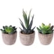 thumbnail image 1 of Plantas Suculentas de Imitación Ormromra 3 Piezas con Macetas Decoración Balcón Oficina, 1 of 2