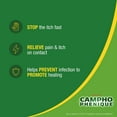 Foundation Consumer Healthcare Campho Phenique Pain & Itch Relief