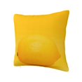 thumbnail image 2 of Wukai Yellow Lemon Premium Polyester Fleece Pillow Covers with Hidden Zipper Closure,Luxuriously Soft and Durable-16"x16", 2 of 7