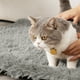 thumbnail image 4 of Dog Kennel Cats Cushion Fall And Winter Warm Dog Cushion Cushion Dog Bed Comfortable Cats Kennel Dog Kennel Pet Supplies Long Hair Velvet Pet Cushion, 4 of 6