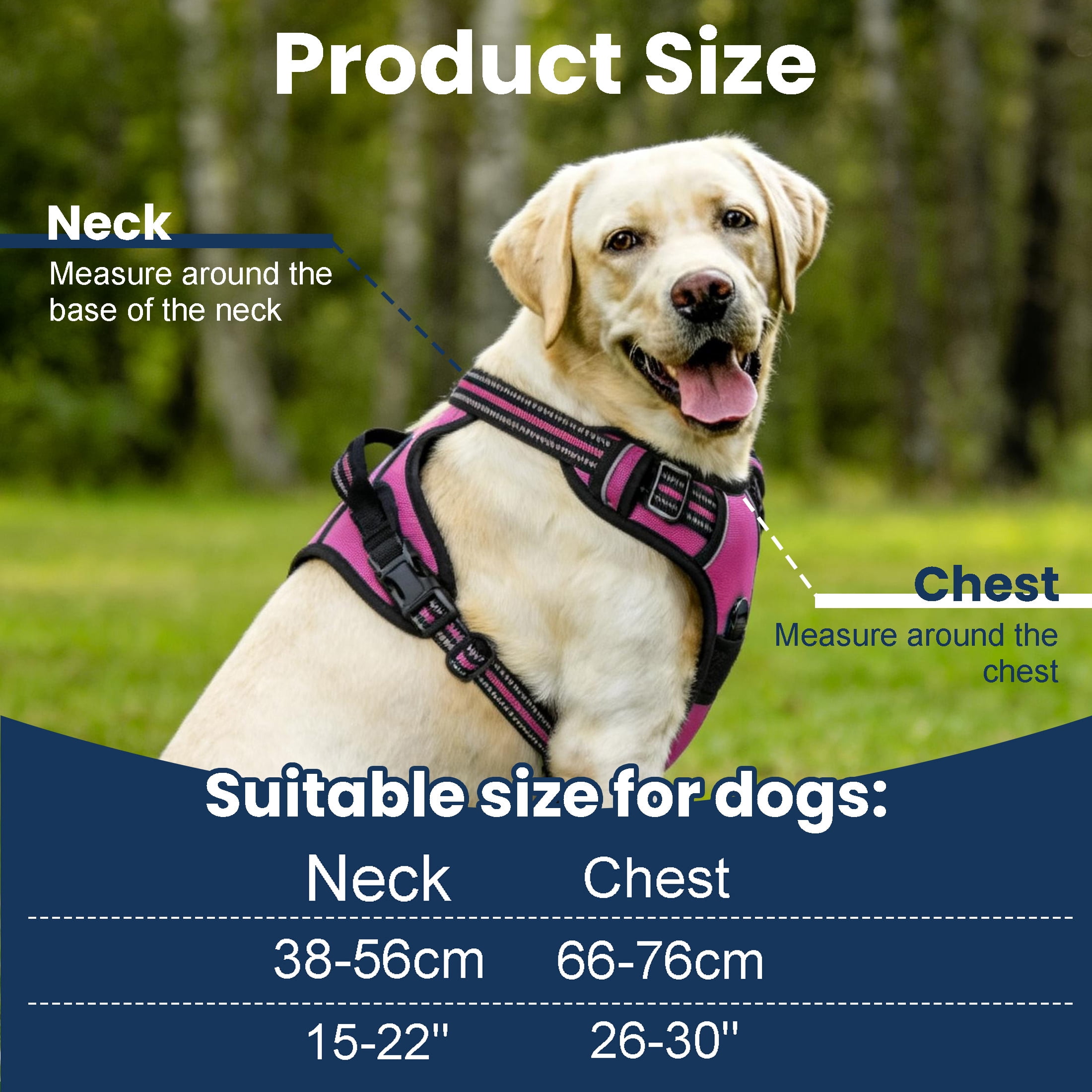 No Pull Dog Harness for Large Dogs, Dog Harness and Leash Set, Heavy Duty Dog Harness for Large Dogs, No Pull Adjustable Pet Harness for Medium Large Dogs