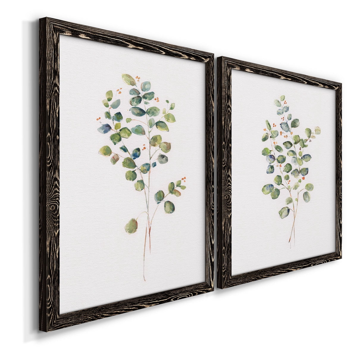 Eucalyptus I - Premium Framed Canvas 2 Piece Set - Ready to Hang