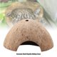 thumbnail image 3 of Cueva de escondite para reptiles, cáscara de coco natural, decoración para acuario de tortugas, 3 of 10