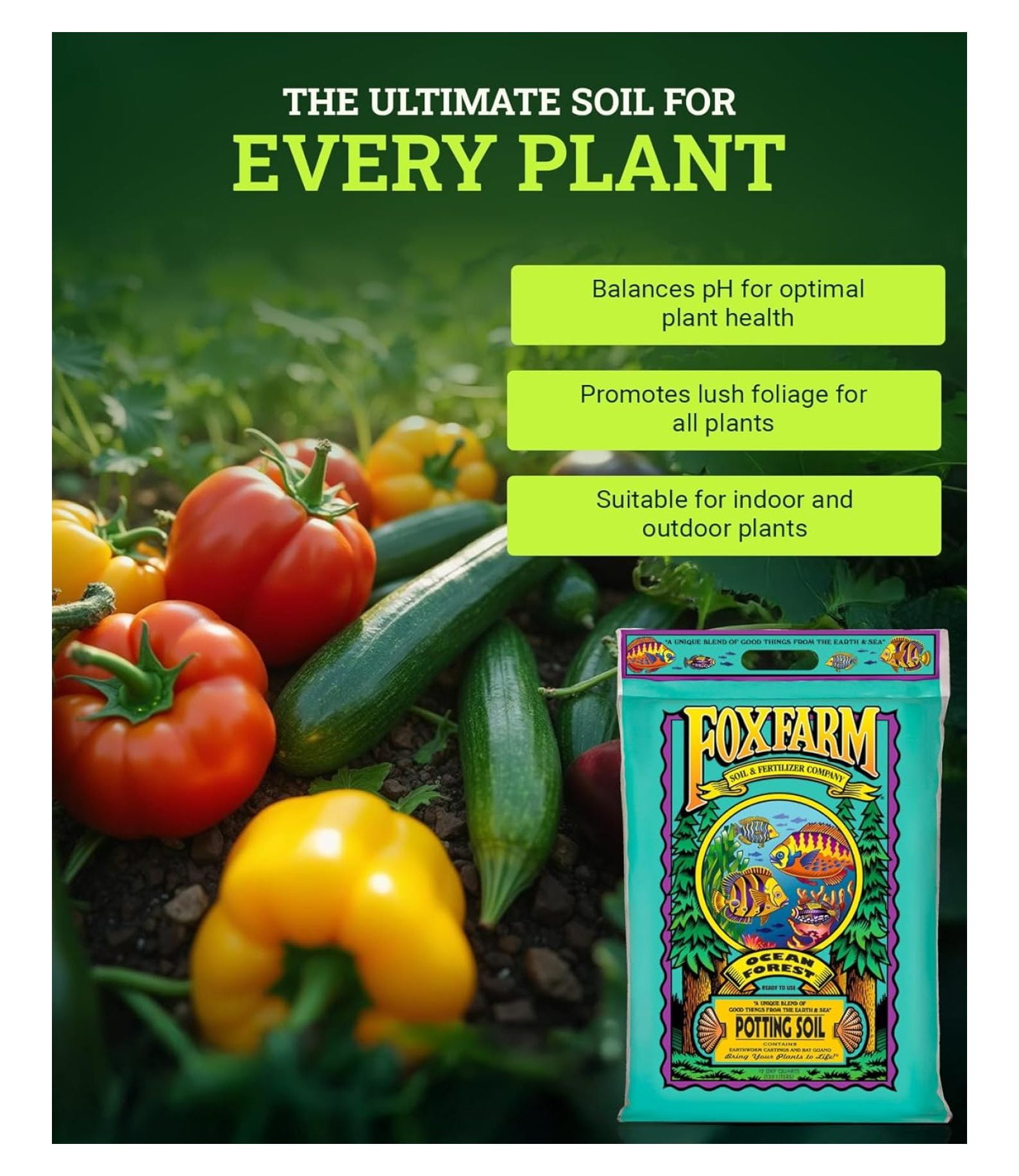 Ocean Forest Potting Soil, 12 Quart (2 Pack) - Light, Aerated Texture
