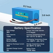 36V 10Ah Ebike Battery Pack Electric Scooter Bike Lithium Battery 750W for Adult Electric Bicycle Motor with 2a Charger