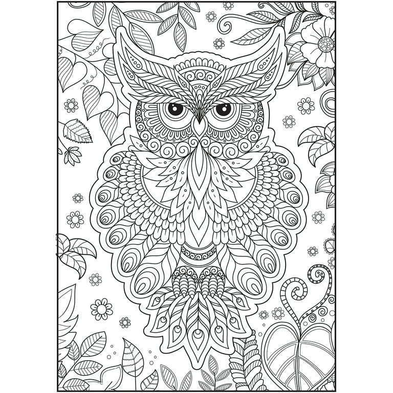 Cra-Z-Art, Office, Timeless Creations Dreams Take Flight Coloring Book  Nature Theme 64 Pages
