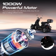 Mobility Scooters for Seniors, 4 Wheel Powered Mobility Scooters,1000W Black