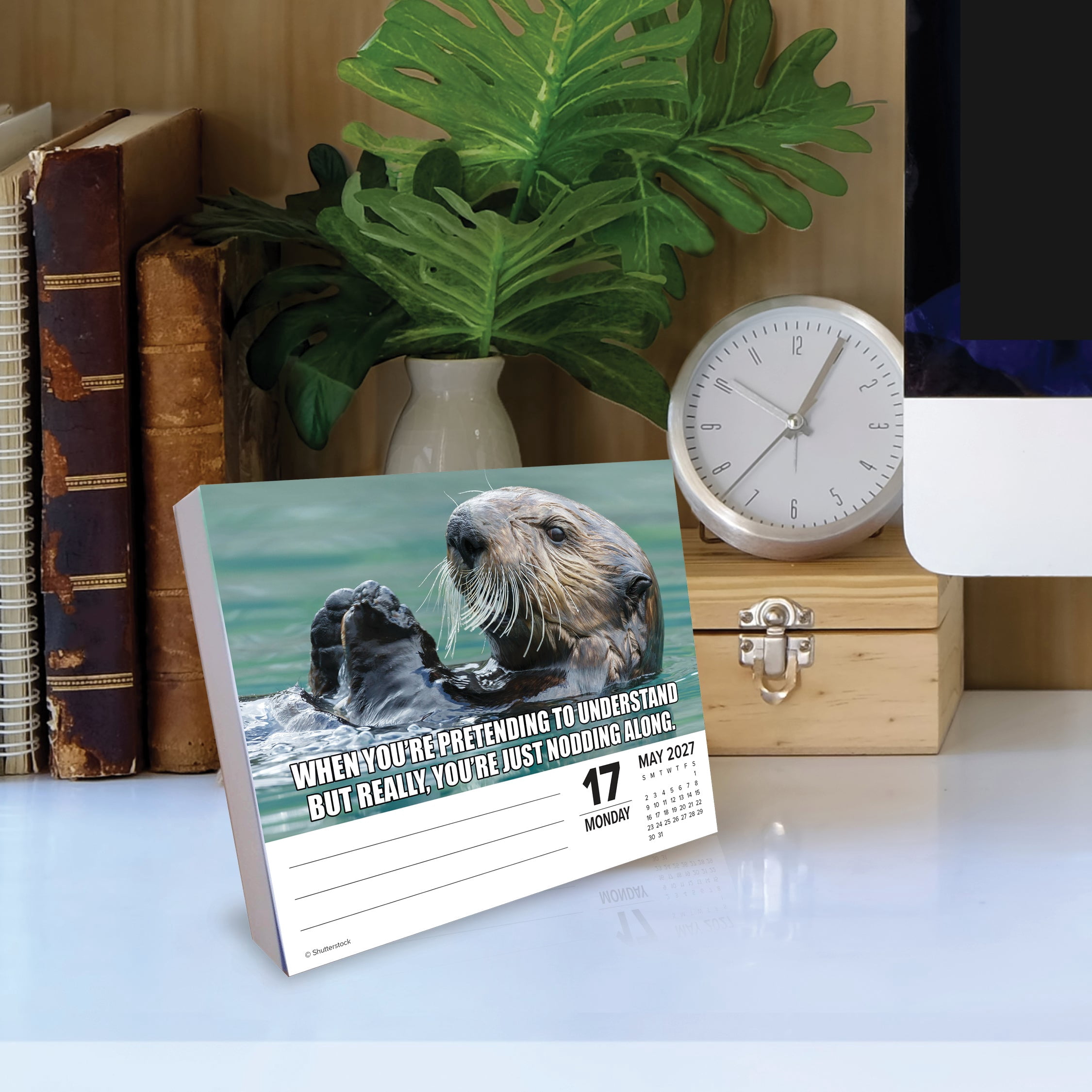 Willow Creek Press, Animal Antics 2027 Box Calendar