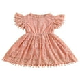 thumbnail image 1 of Robe Trapèze pour Tout-Petites Filles, Manches Courtes, Col Rond, Dentelle Florale à Franges, Robes de Fête, 1 of 8