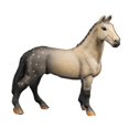 thumbnail image 2 of Dianhelloya Realistic PVC Horse Model Toy for Kids, Educational Animal Figurine, Durable Home Decor, Creative Play Gift, Safe Toddler Learning Resource (3+ Years), 2 of 8