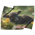 thumbnail image 1 of Black Lamb Sleeping on Moss Surrounded by Spring Flowers Fleece Sherpa Blanket ("60x80", Fleece), 1 of 6