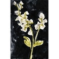 thumbnail image 3 of Goldberger, Jennifer 10x14 Black Modern Framed Museum Art Print Titled - Midnight Phlox I, 3 of 5