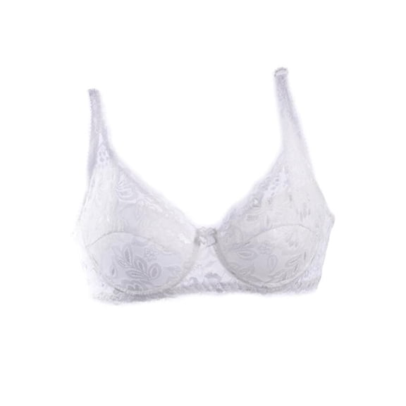 Women's Lace Bra,Push Up Double Breasted Brassiere Underwire Underwear