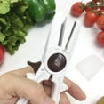 thumbnail image 6 of SPOORYYO Ergonomic Cherry and Chestnut Pitter with Scoop, Quickly Removes Pit from Any Size Cherry or Chestnut Without Loss of Juice, Easy to Clean and Store, 6 of 9
