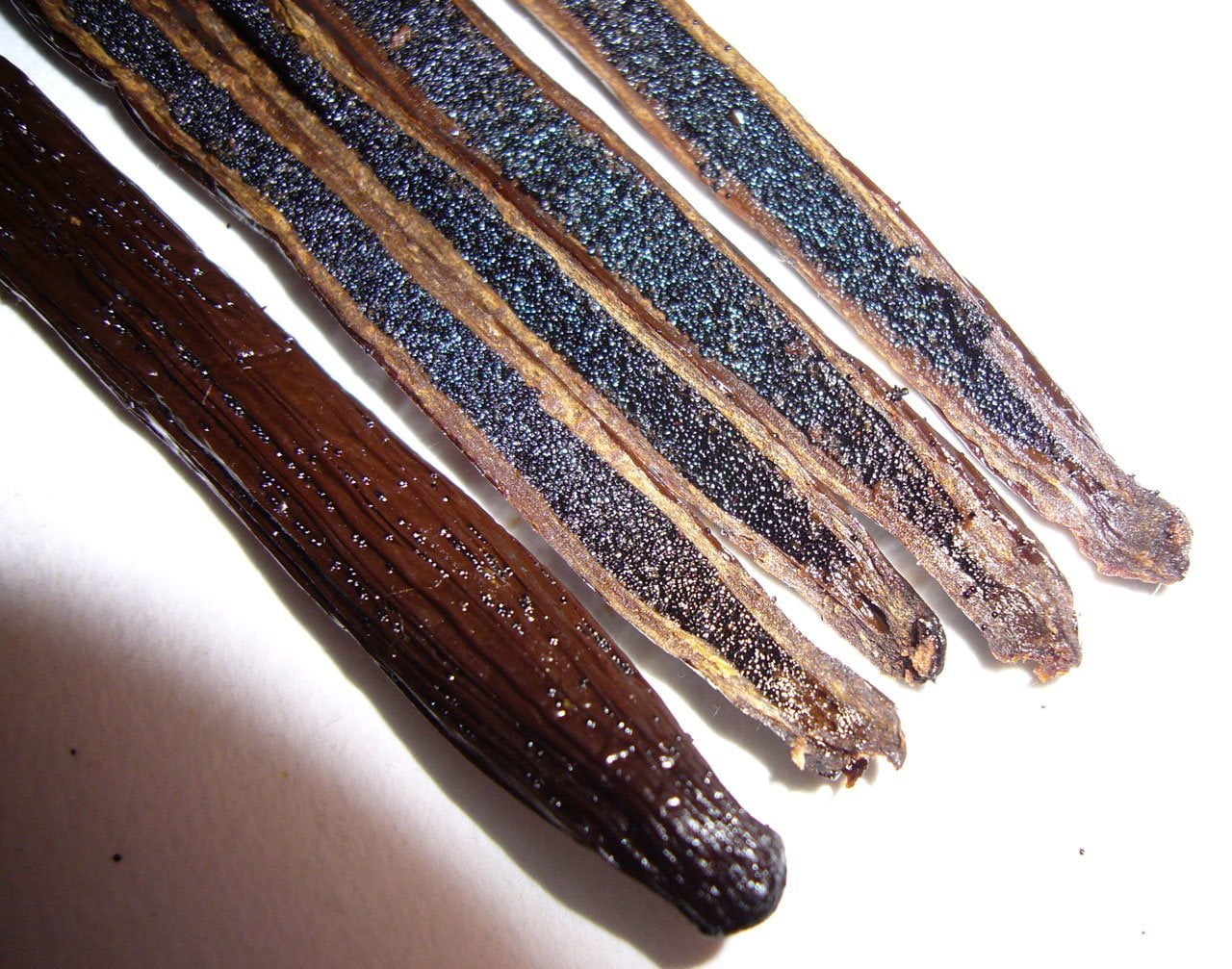 1 LB Organic Madagascar Vanilla Beans. Whole Grade A Vanilla Pods for Vanilla Extract and Baking - 16 Ounces