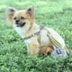 thumbnail image 5 of Soft Dog Harness and Leash Set Adjustable Nylon Chihuahua Dog Collar For Small Medium Dogs Pet Products Walking ShopWise Round, 5 of 15