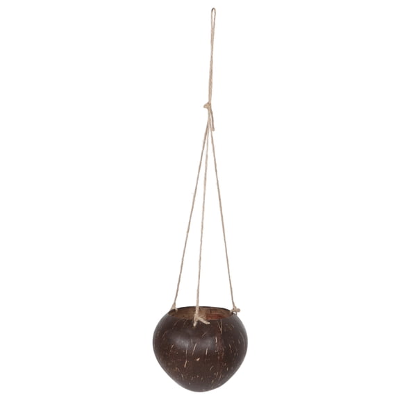 LOLIPPYY Natural Coconut Shell Hanging Planter for Indoor Orchids Succulents with Tropical Charm