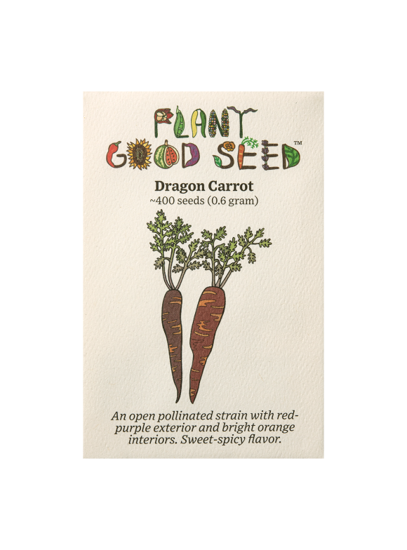 Carrot Seeds in Seed Gardening